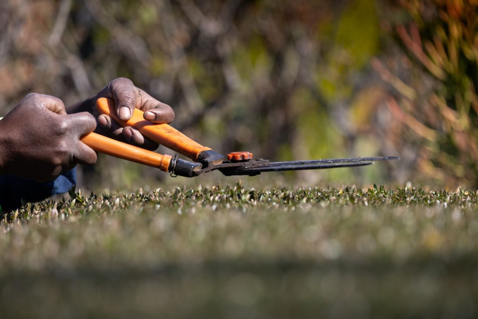Landscaping & Yard Care